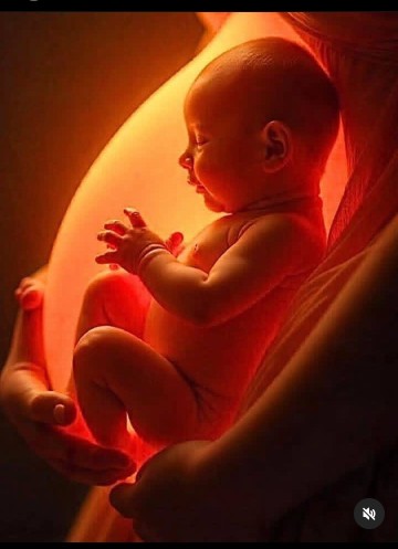 fiévre et grossesse