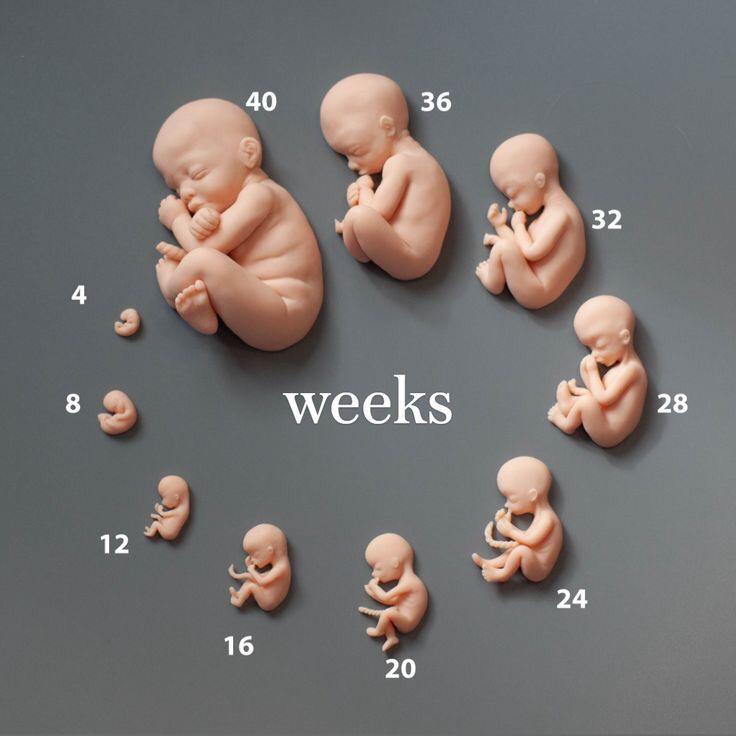 Généralités sur l'accoauchement 